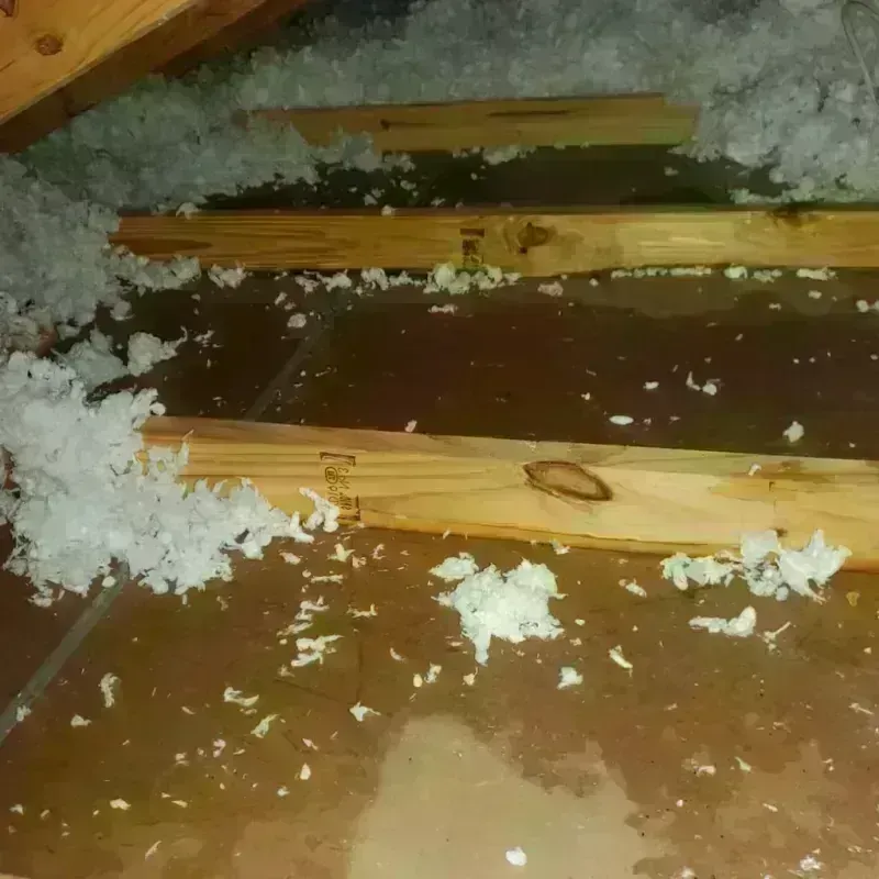 Attic Water Damage in West Vero Corridor, FL