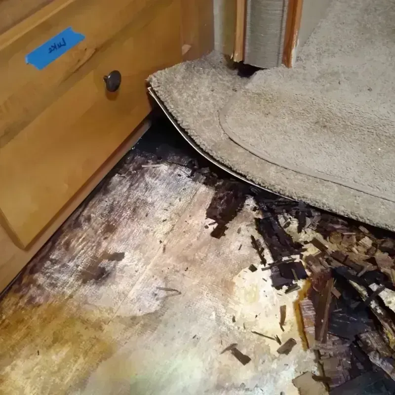 Wood Floor Water Damage in West Vero Corridor, FL